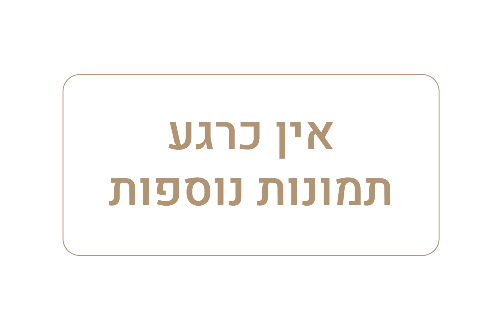 אין כרגע תמונות נוספות